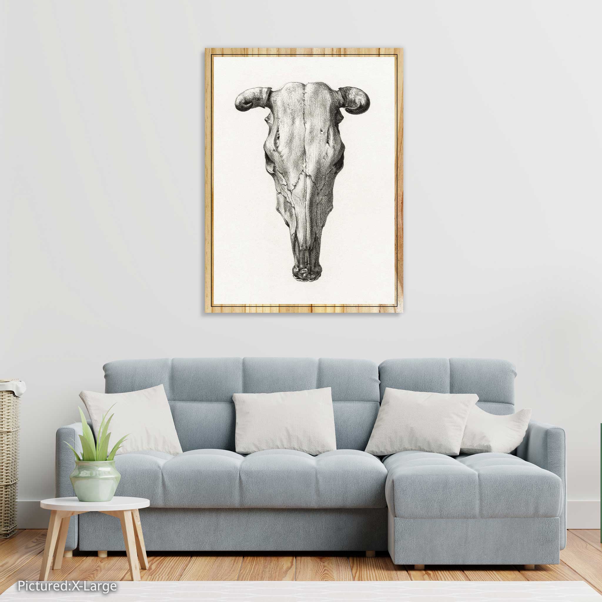 Skull of a Cow by Jean Bernard