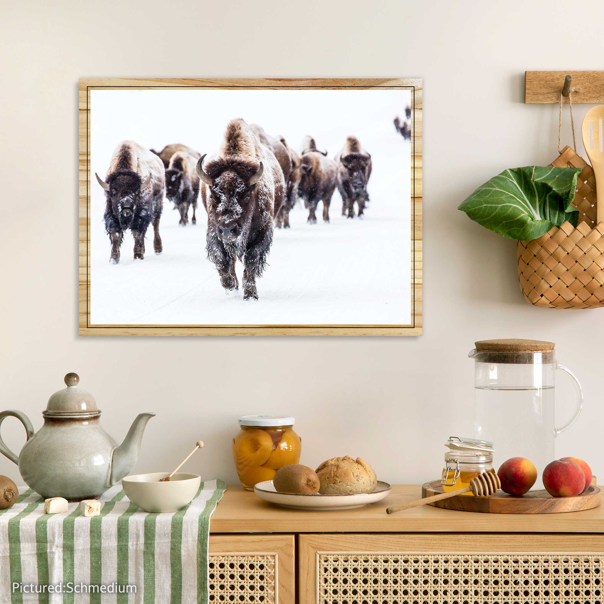 Herd of Bison