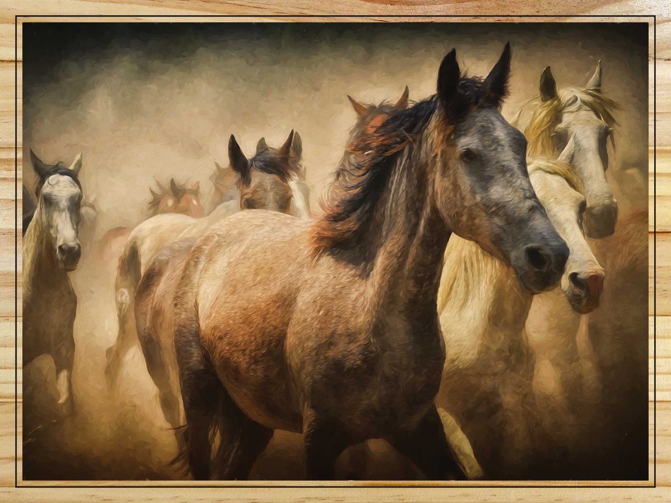 Herd of Horses