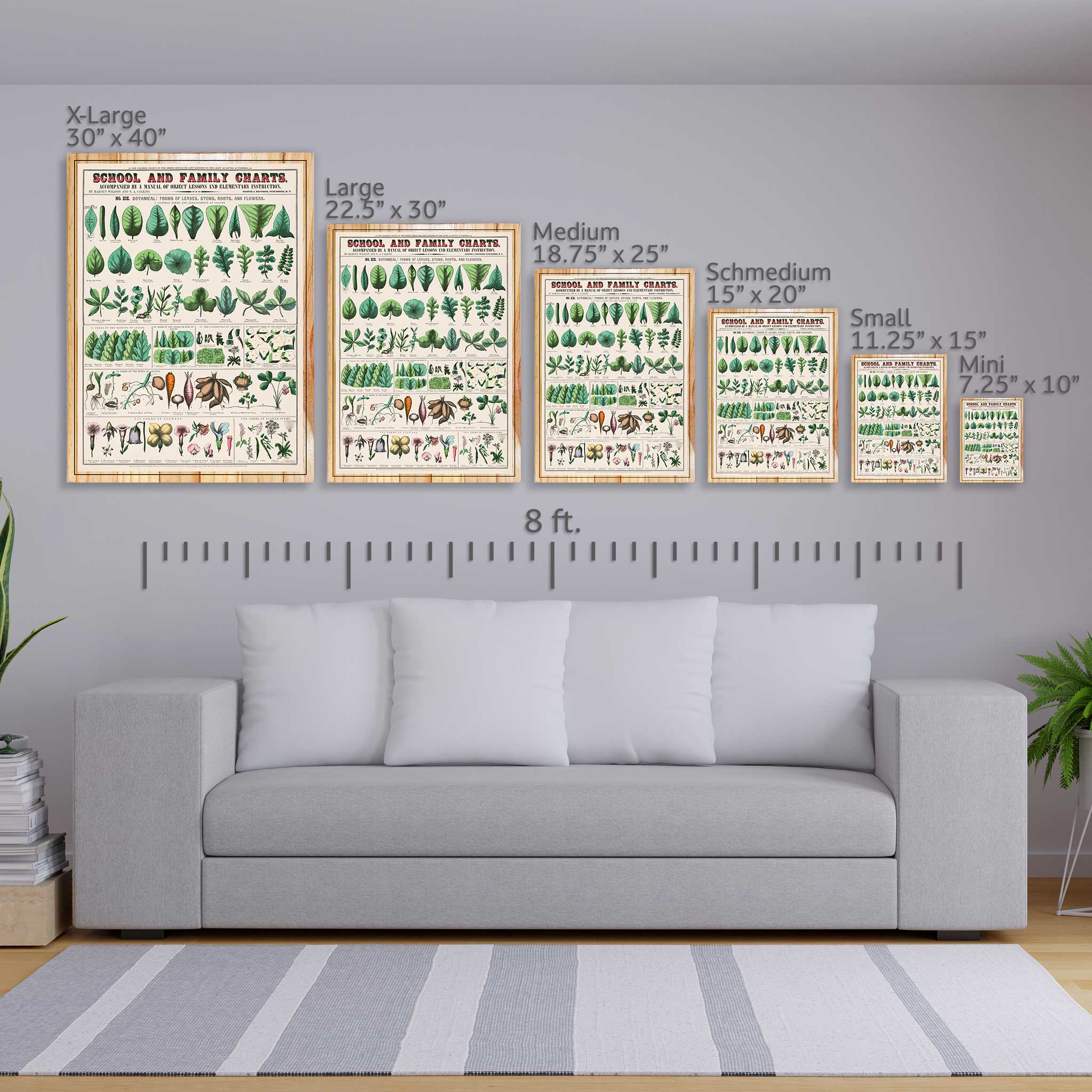 School and Family Charts - Botanical, forms of leaves, stems, roots, and flowers