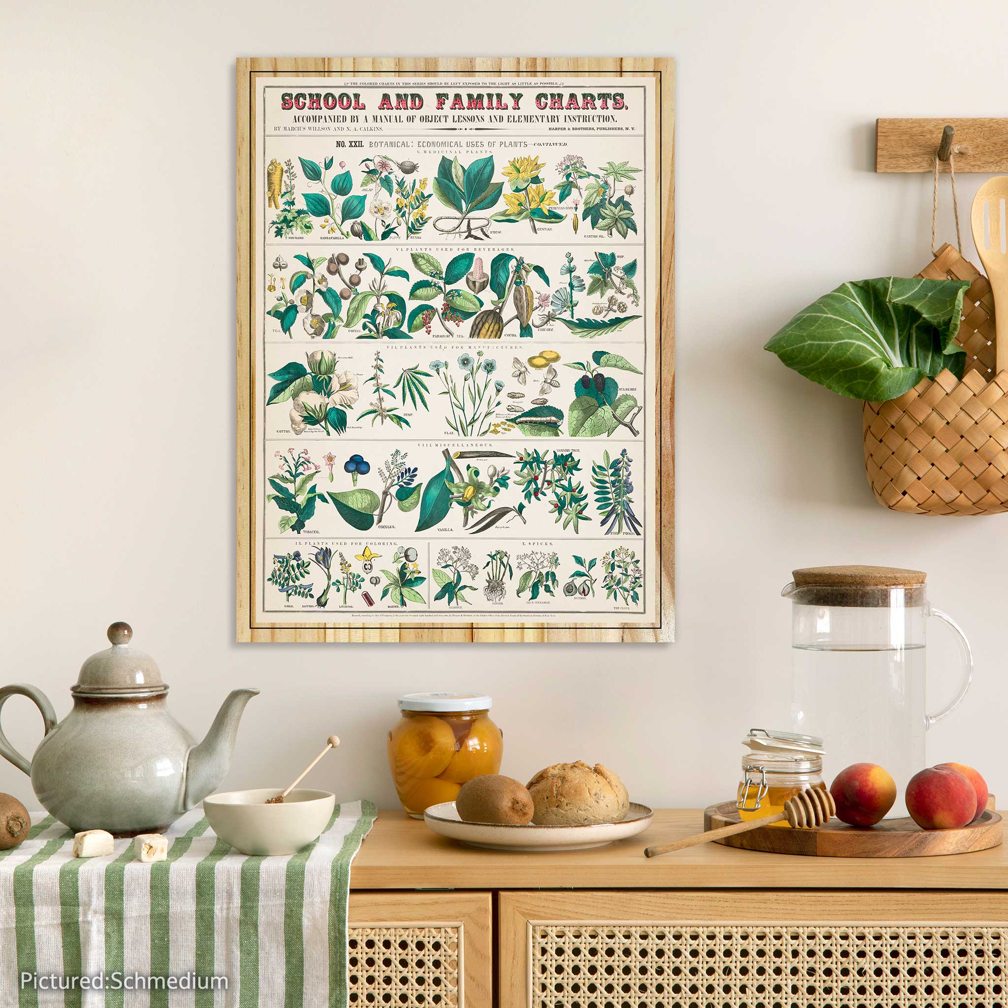 School and Family Charts - Botanical, Economical Uses of Plants