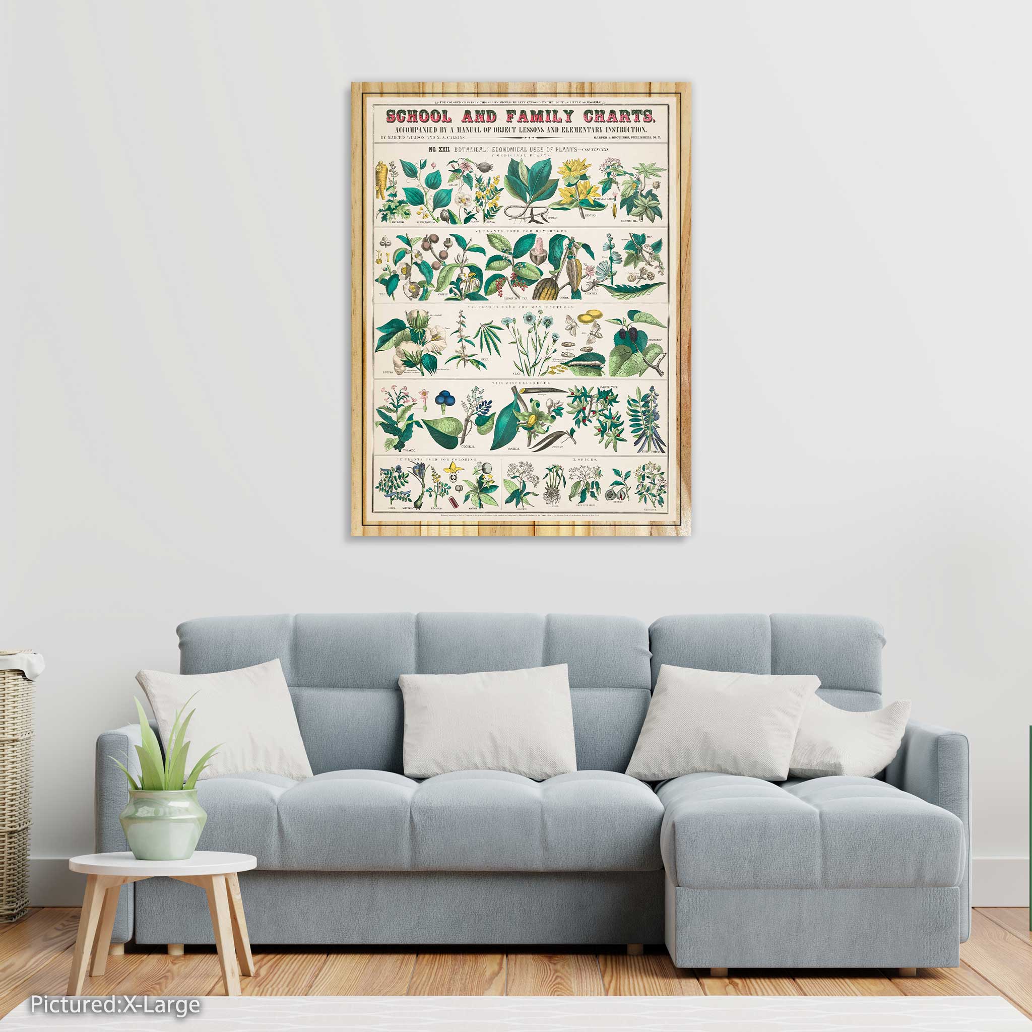 School and Family Charts - Botanical, Economical Uses of Plants