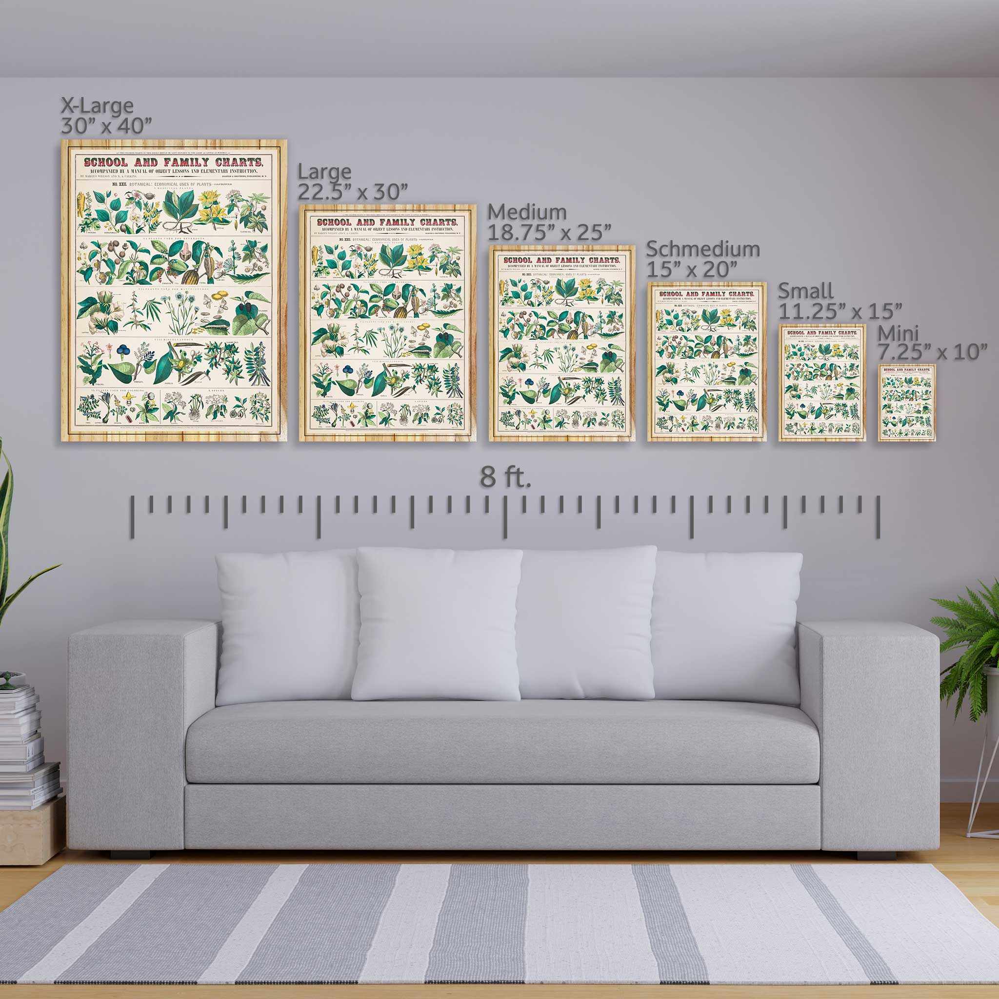 School and Family Charts - Botanical, Economical Uses of Plants