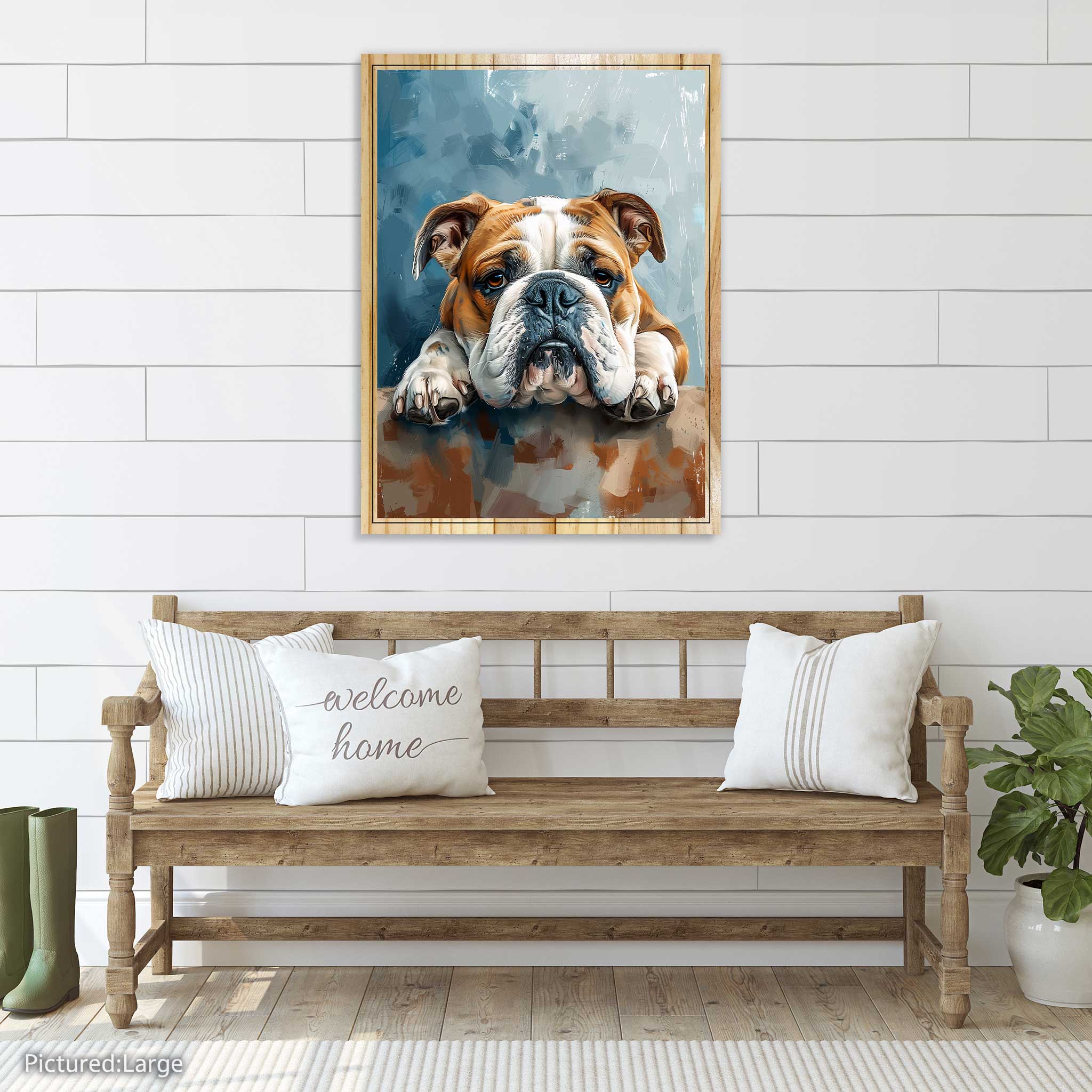 Lulu the English Bulldog