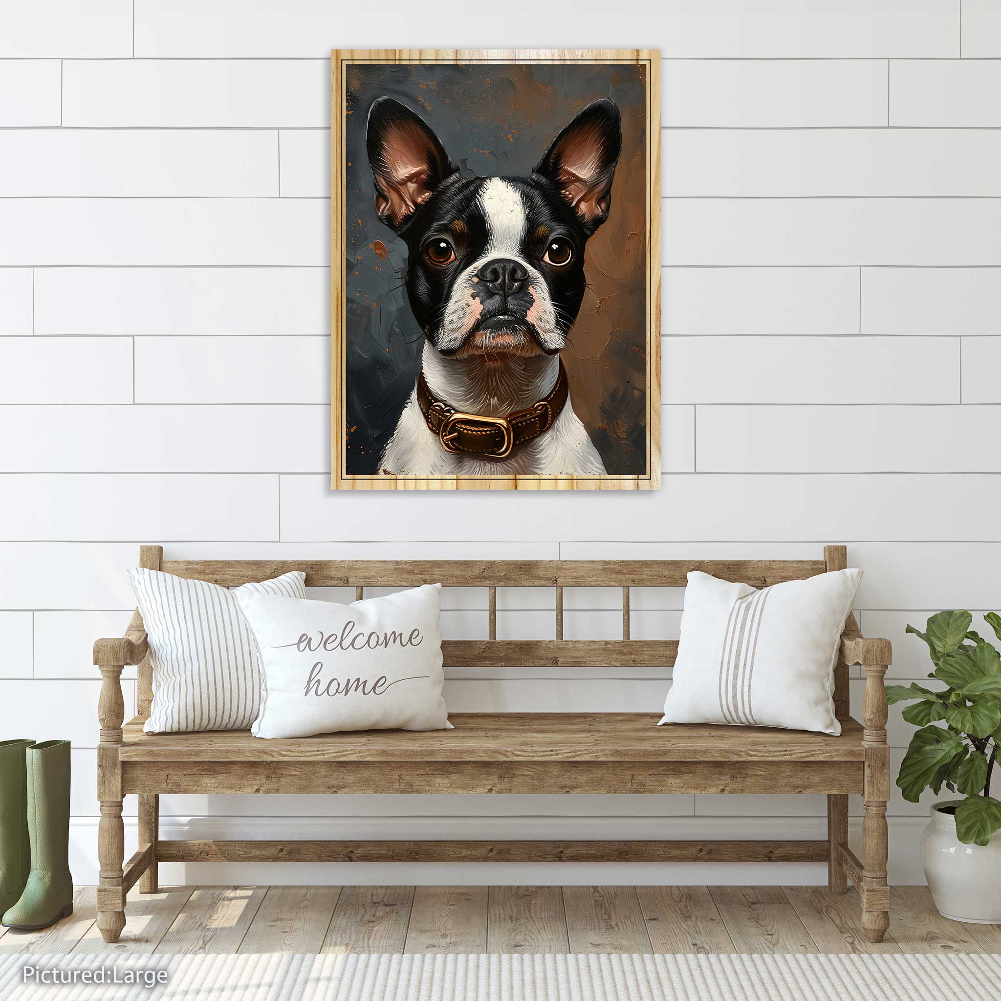 Thor the Boston Terrier