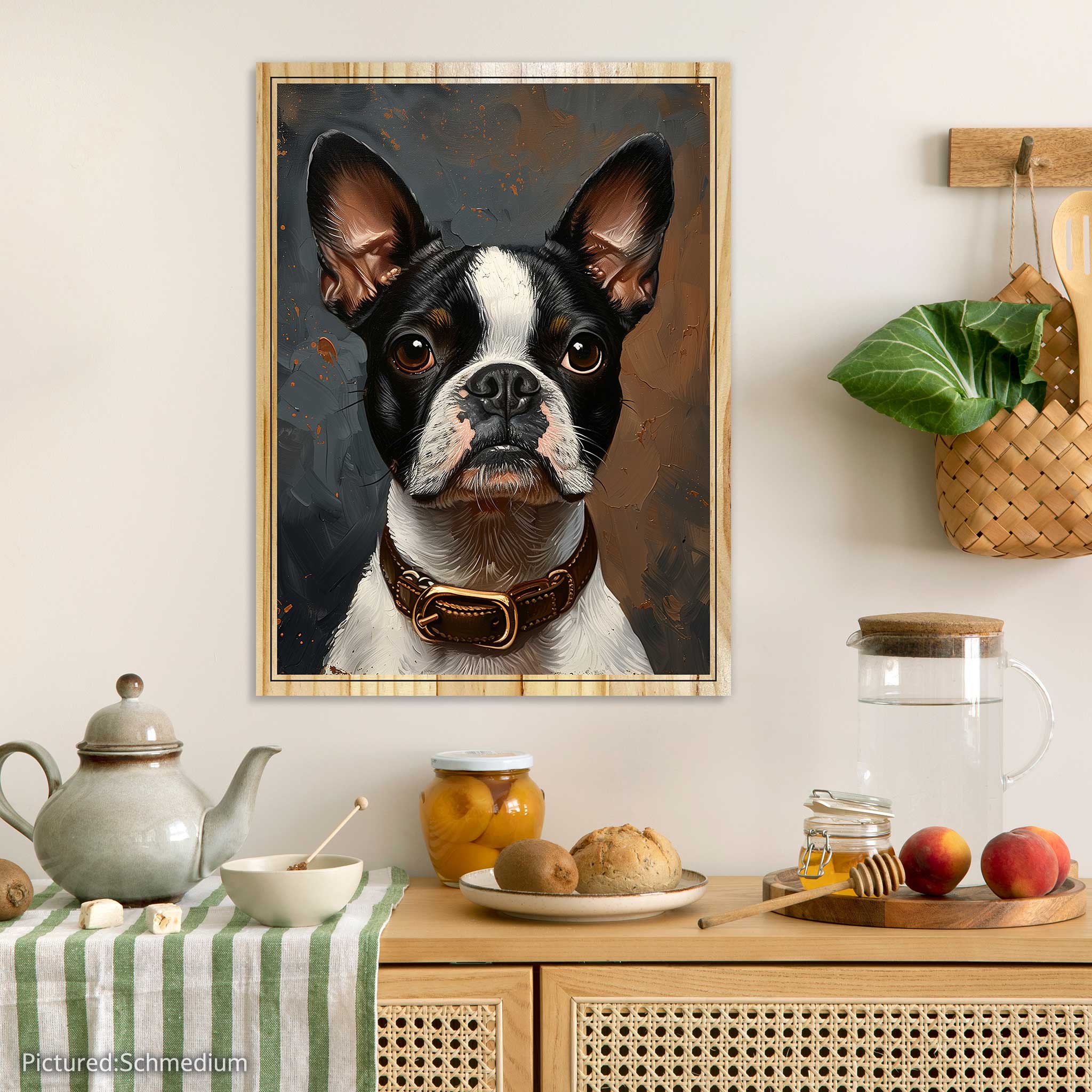 Thor the Boston Terrier